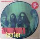SOUNDGARDEN /RUSTY CAGE [PIC 7"]