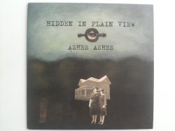 画像1: HIDDEN IN PLAIN VIEW /ASHES ASHES [7]