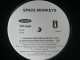SPACE MONKEYS /ACID HOUSE KILLED ROCK AND ROLL [12"]
