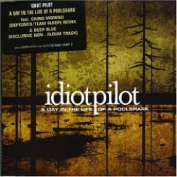 画像1: IDIOT PILOT /A DAY IN THE LIFE OF A POOLSHARK [10"]