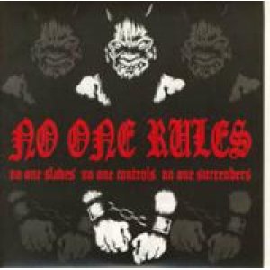 画像: NO ONE RULES /NO ONE SLAVES, NO ONE CONTROLS, NO ONE SURRENDERS [7"]