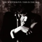 画像: WATERBOYS /THIS IS THE SEA [LP]