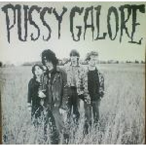 画像: PUSSY GALORE / GROOVY HATE FUCK (FEEL GOOD ABOUT YOUR BODY) [LP]