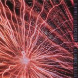 画像: BETTER CHEMISTRY /UNDISCOVERED ELEMENTS [CD]