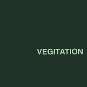 画像: VEGITATION /S.T. [CD]