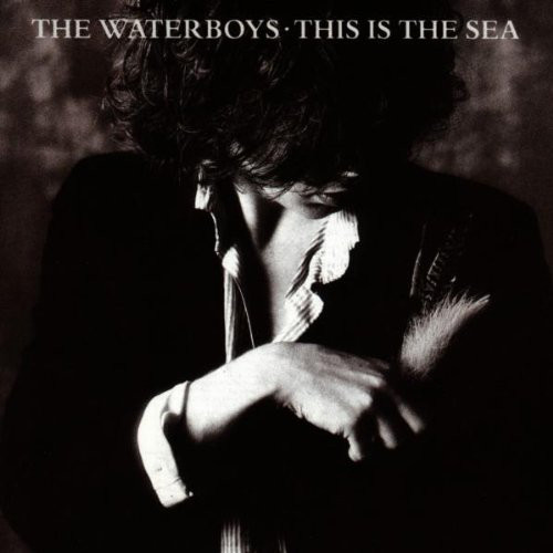 画像1: WATERBOYS /THIS IS THE SEA [LP]