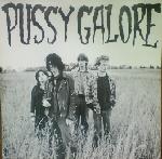 画像1: PUSSY GALORE / GROOVY HATE FUCK (FEEL GOOD ABOUT YOUR BODY) [LP]