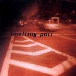 画像1: SHREDHEAD /MELTING POT [CD]